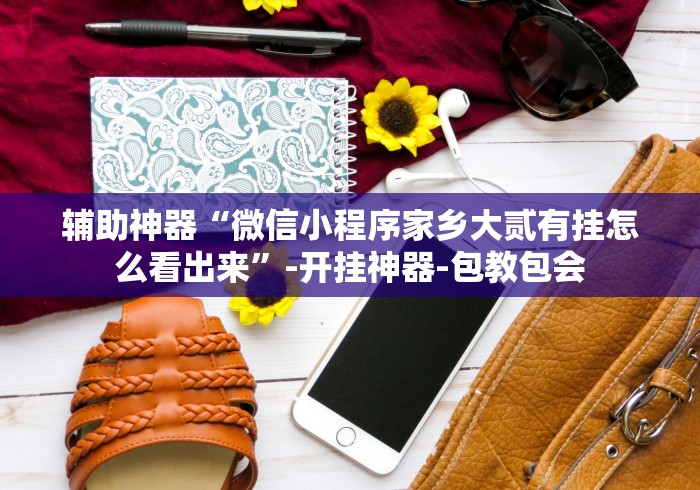 辅助神器“微信小程序家乡大贰有挂怎么看出来”-开挂神器-包教包会