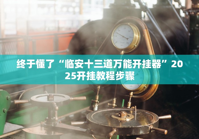 终于懂了“临安十三道万能开挂器”2025开挂教程步骤