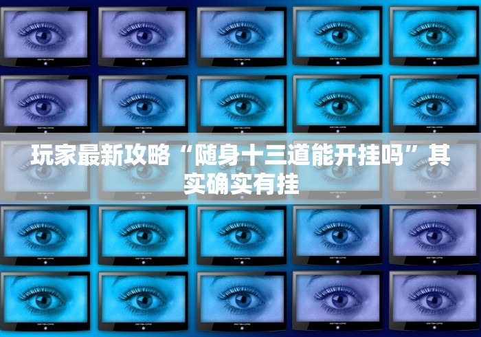 玩家最新攻略“随身十三道能开挂吗”其实确实有挂