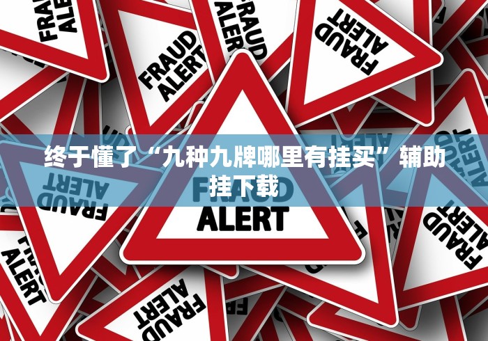 终于懂了“九种九牌哪里有挂买”辅助挂下载