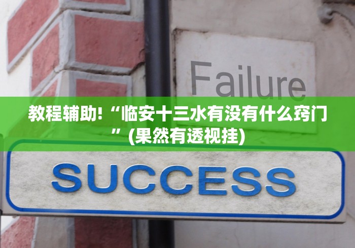 教程辅助!“临安十三水有没有什么窍门”(果然有透视挂)