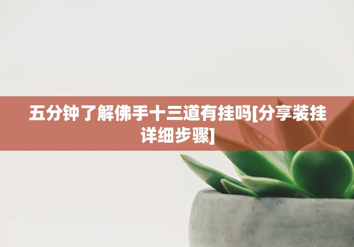 五分钟了解佛手十三道有挂吗[分享装挂详细步骤]