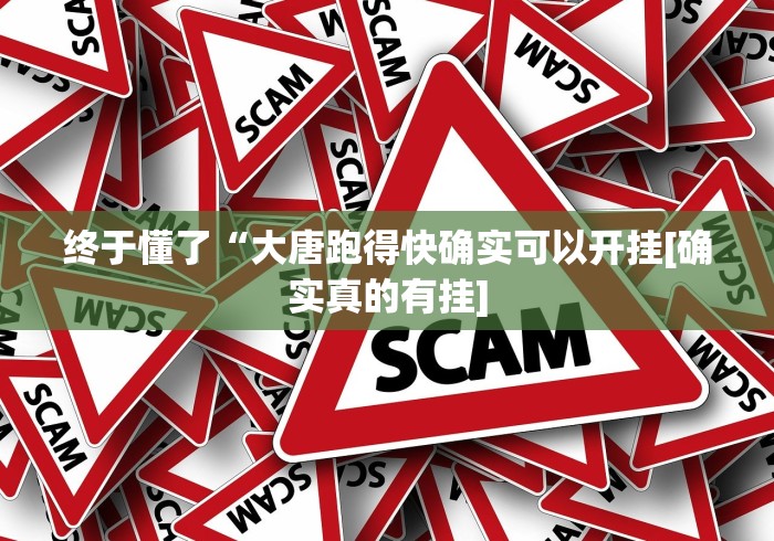 终于懂了“大唐跑得快确实可以开挂[确实真的有挂]