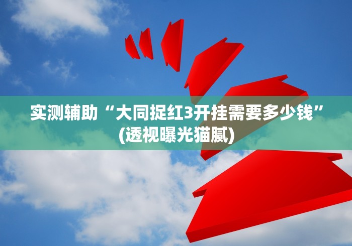 实测辅助“大同捉红3开挂需要多少钱”(透视曝光猫腻)
