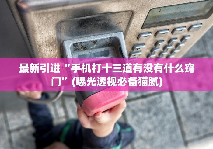 最新引进“手机打十三道有没有什么窍门”(曝光透视必备猫腻)