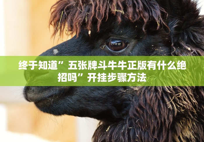 终于知道”五张牌斗牛牛正版有什么绝招吗”开挂步骤方法