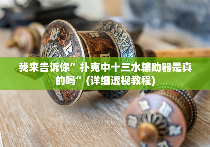 我来告诉你”扑克中十三水辅助器是真的吗”(详细透视教程)