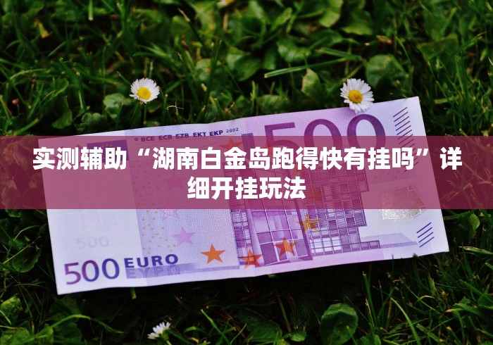 实测辅助“湖南白金岛跑得快有挂吗”详细开挂玩法
