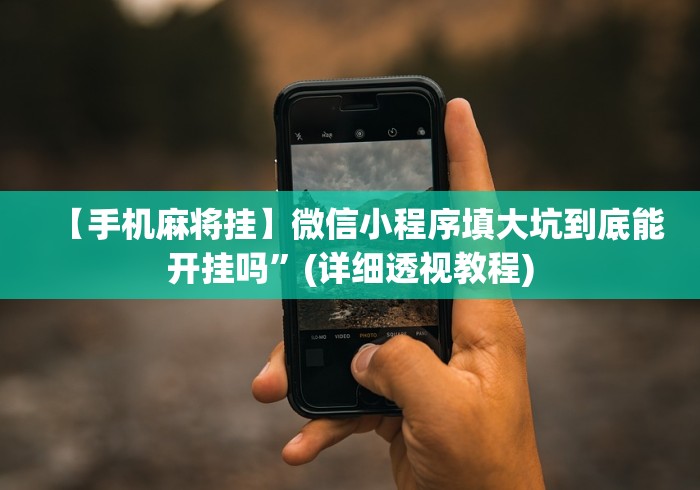 【手机麻将挂】微信小程序填大坑到底能开挂吗”(详细透视教程)