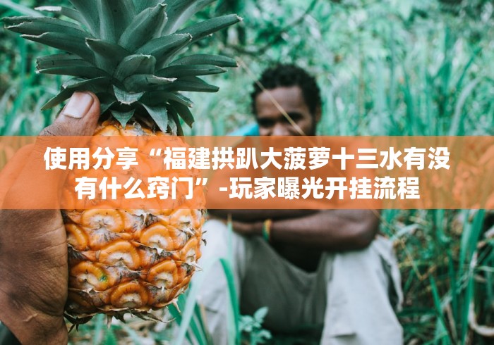 使用分享“福建拱趴大菠萝十三水有没有什么窍门”-玩家曝光开挂流程