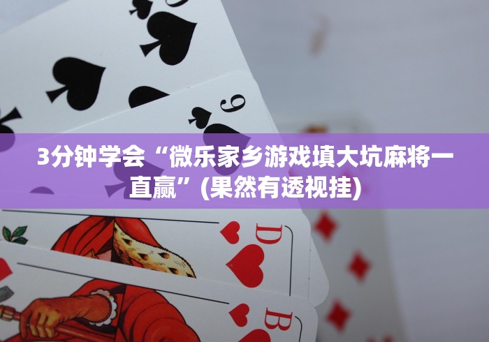 3分钟学会“微乐家乡游戏填大坑麻将一直赢”(果然有透视挂)