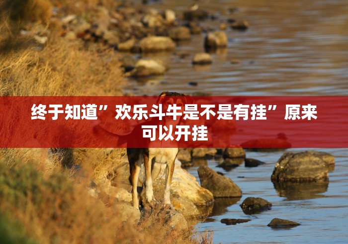 终于知道”欢乐斗牛是不是有挂”原来可以开挂