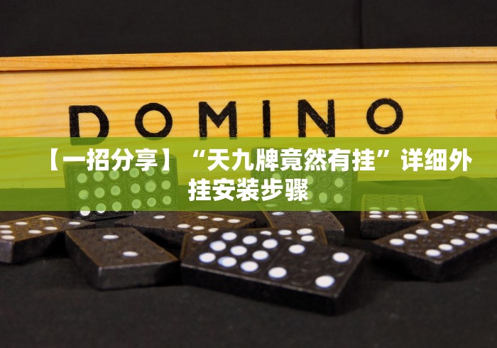 【一招分享】“天九牌竟然有挂”详细外挂安装步骤