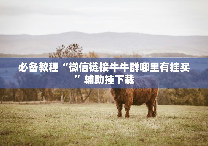 必备教程“微信链接牛牛群哪里有挂买”辅助挂下载