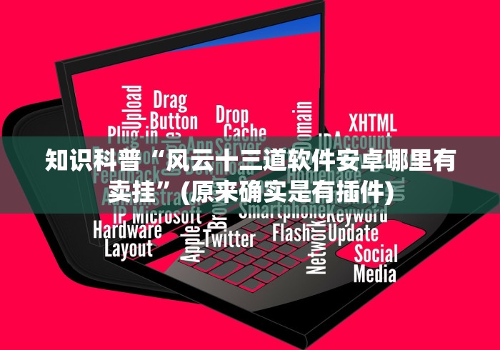 知识科普“风云十三道软件安卓哪里有卖挂”(原来确实是有插件)