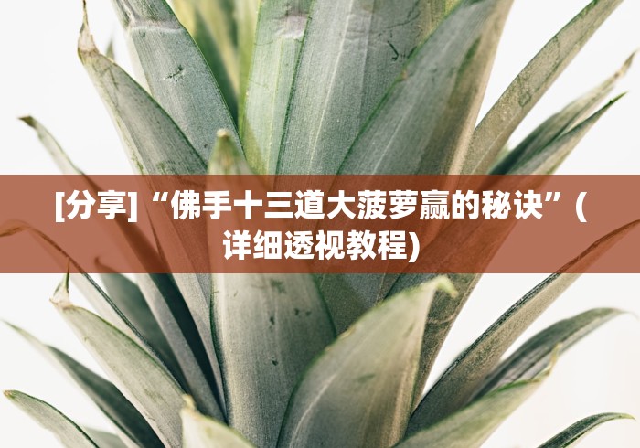 [分享]“佛手十三道大菠萝赢的秘诀”(详细透视教程)