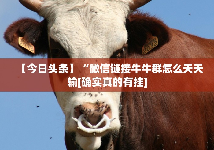 【今日头条】“微信链接牛牛群怎么天天输[确实真的有挂]