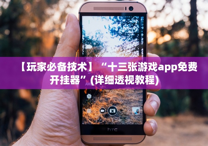 【玩家必备技术】“十三张游戏app免费开挂器”(详细透视教程)
