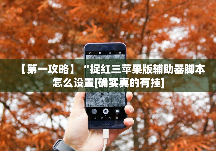 【第一攻略】“捉红三苹果版辅助器脚本怎么设置[确实真的有挂]