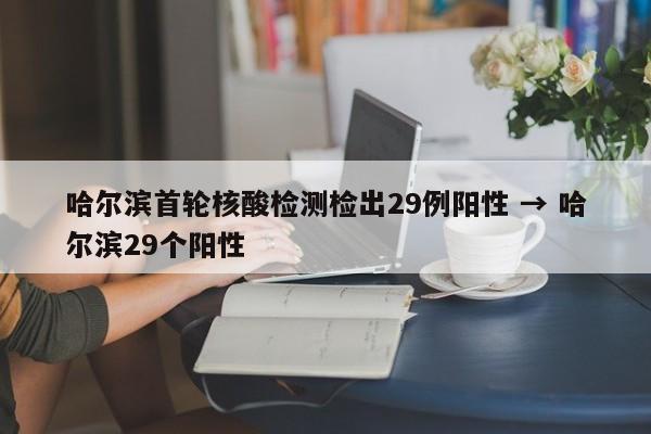 哈尔滨首轮核酸检测检出29例阳性 → 哈尔滨29个阳性