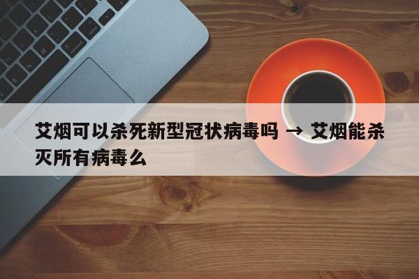 艾烟可以杀死新型冠状病毒吗 → 艾烟能杀灭所有病毒么