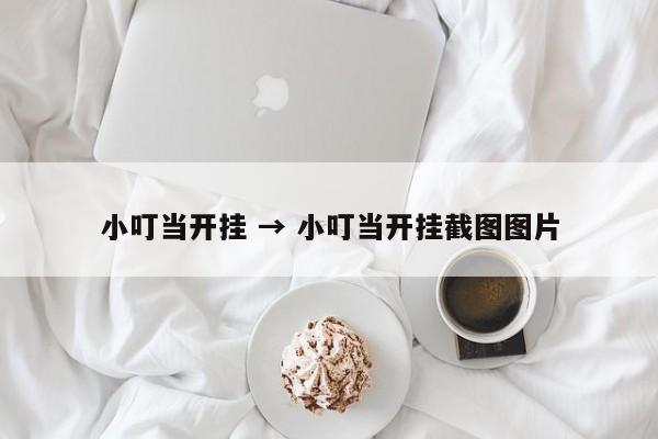 小叮当开挂 → 小叮当开挂截图图片